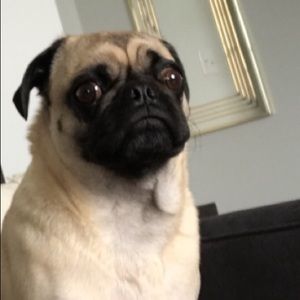 Meet your Posher, Kyle